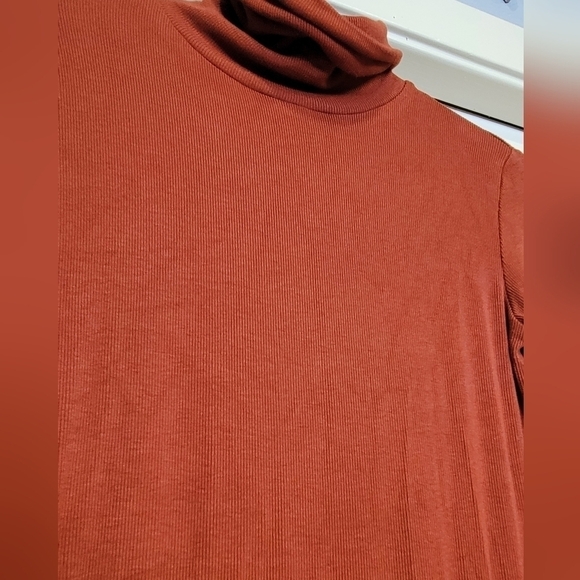 Molly Bracken Lili Sidonio rust colored ribbed turtleneck 95% viscose Size XS - Picture 2 of 4